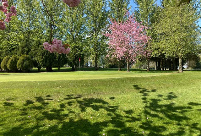 A spring day view of a hole at Rathdowney Golf Club.