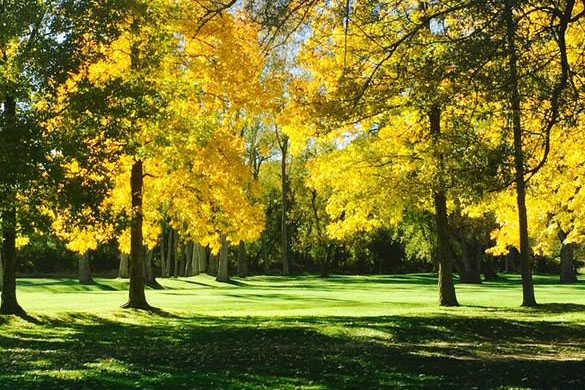 Wellsville Country Club