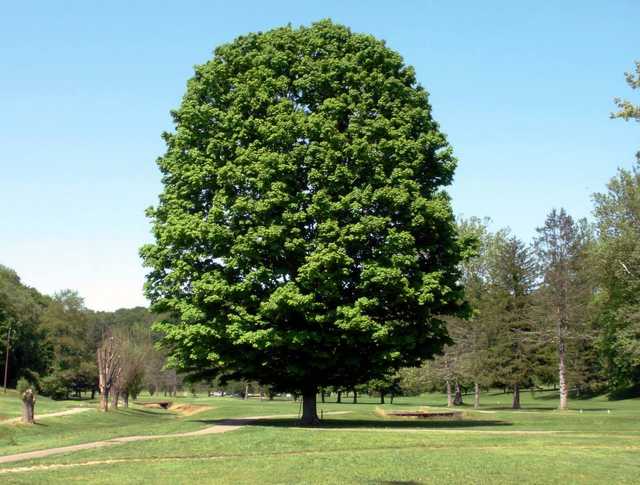 Ironton Country Club