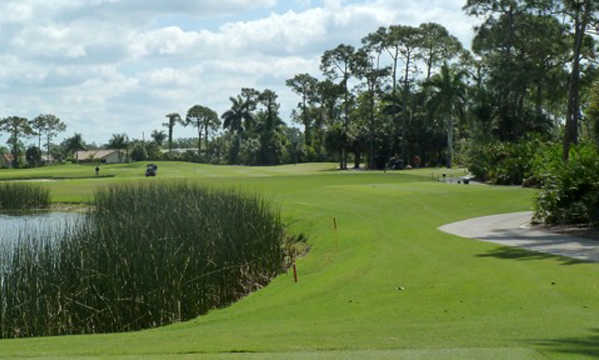 Course Image