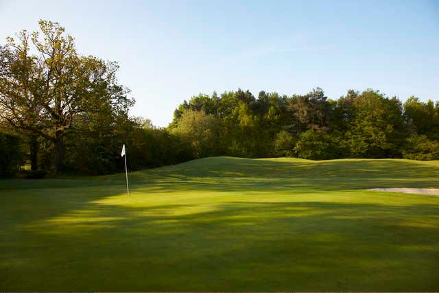 #6 at Lingfield Park Golf Club