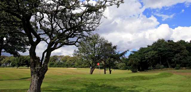 Looking at the green at Airdrie Golf Club