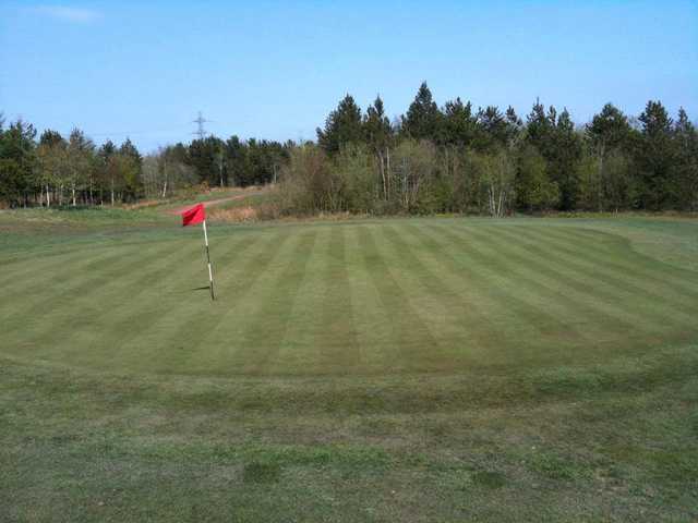 A view of a green with a narrow path in background at Torrance Park Golf Course