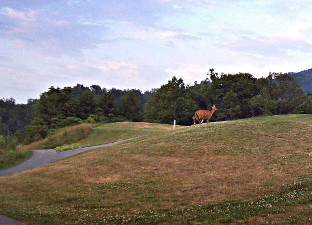 Sleepy Hollow Golf Course