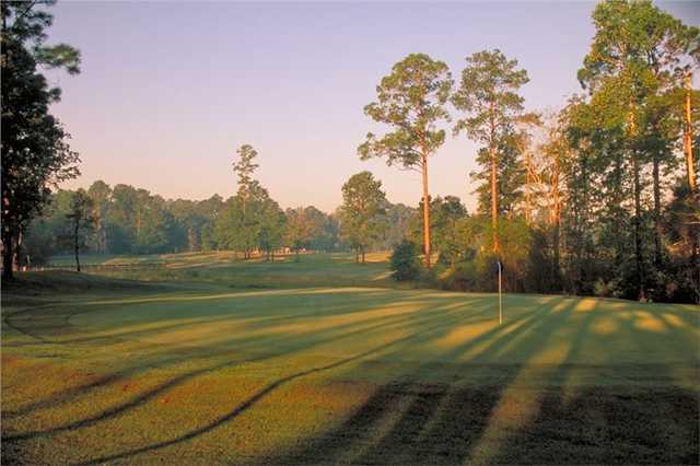 Course Image