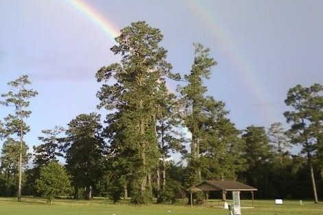 Pine Shadows Golf Course
