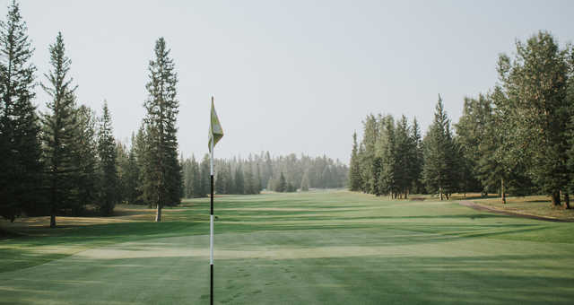 Course Image