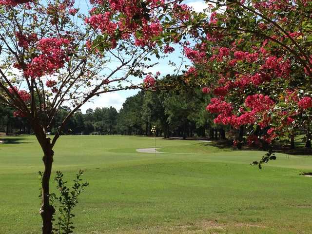 A view of a hole at Quail Creek Golf Course