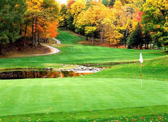 A view from Club de Golf Fairmont Le Chateau Montebello