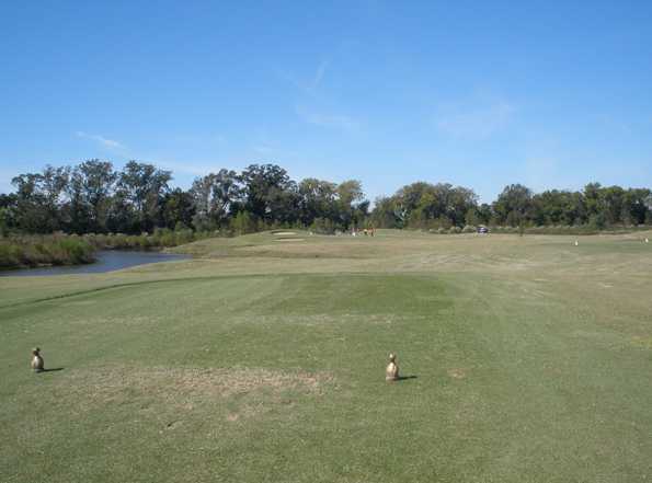 Course Image
