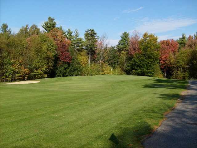 The Woods of Westminster