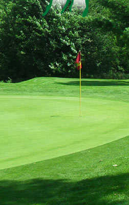 Course Image