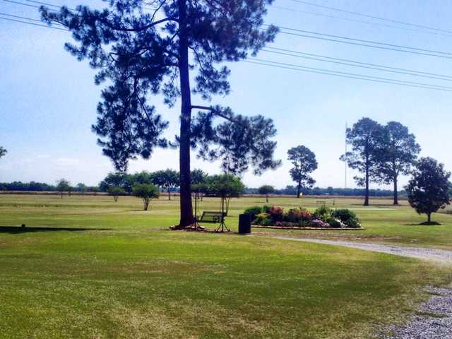 Cajun Pine Golf Club