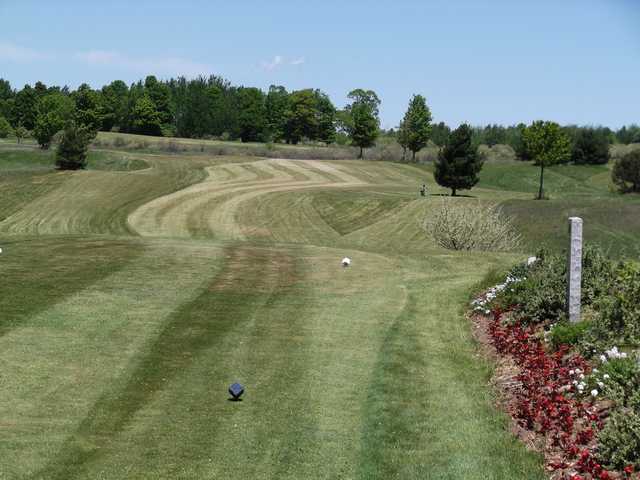 Loggers Trace at Springport Hills