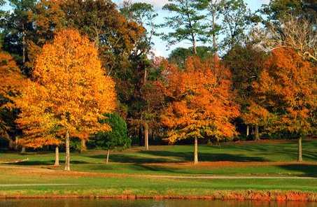 A fall view from Country Club of Birmingham