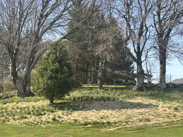 A view from Eastwood Twelve Golf Course.