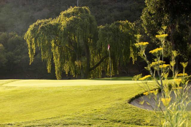 Ben Brown's Golf Course