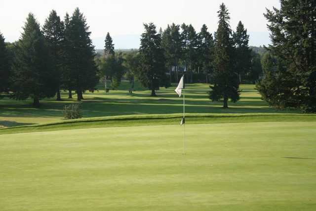 A view of the 3rd green at Cameron from Buffalo Hill Golf Club