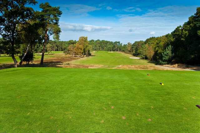 Blackmoor Golf Club