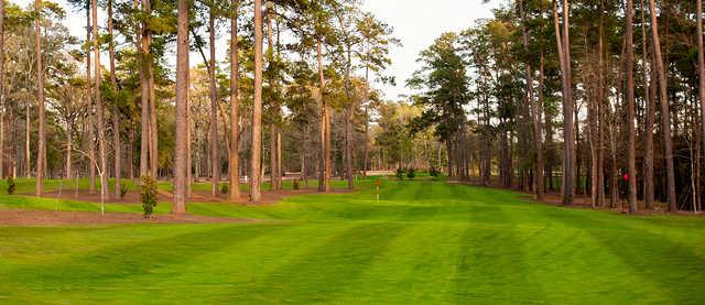 Bluejack National - The Playgrounds
