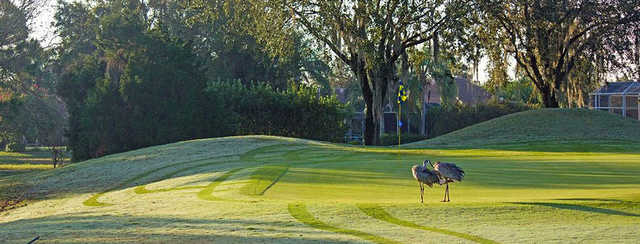 The River Club Golf Course