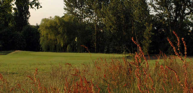 Course Image
