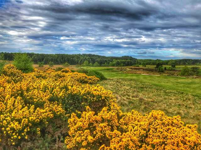 A view from Lanark Golf Club.