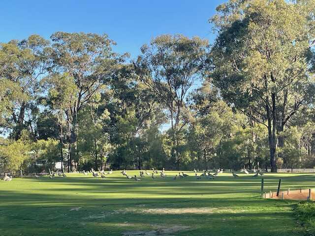 A view from Bendigo Golf Club.