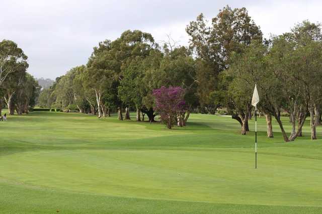 Course Image