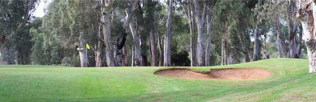 View of a green at Little Para Golf Course