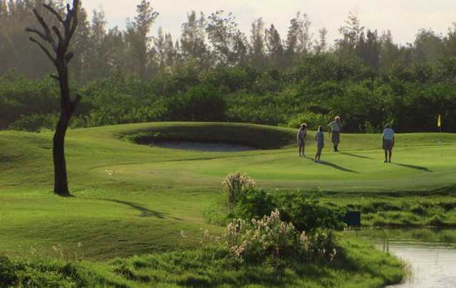 Course Image