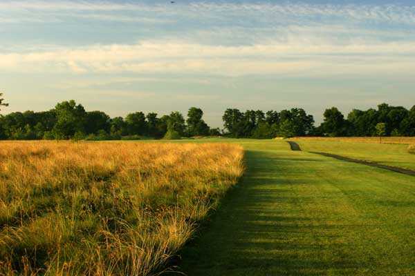 A view from Royal Hylands Golf Club