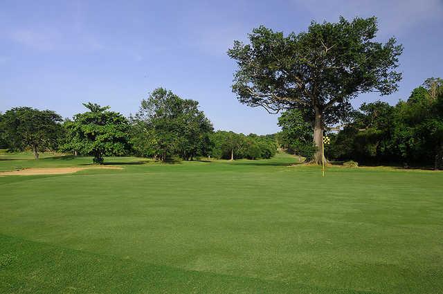 Course Image