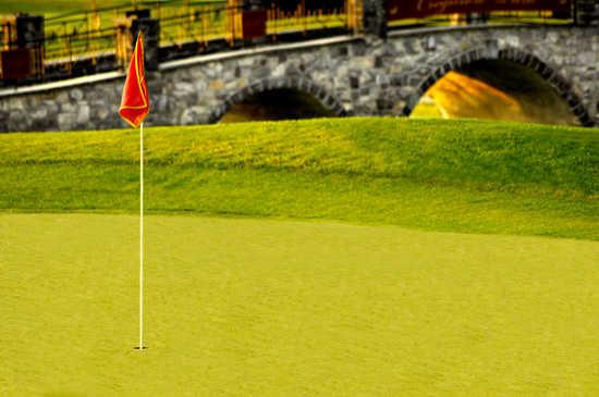 A view of the 9th hole at Cregmore Park & Golf Club