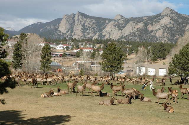 Lake Estes Golf Course