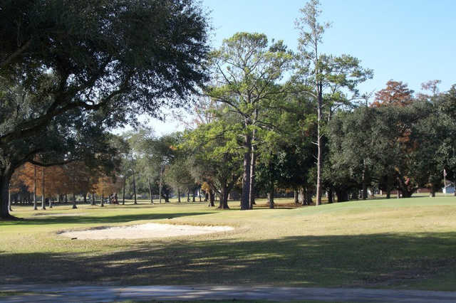 Course Image