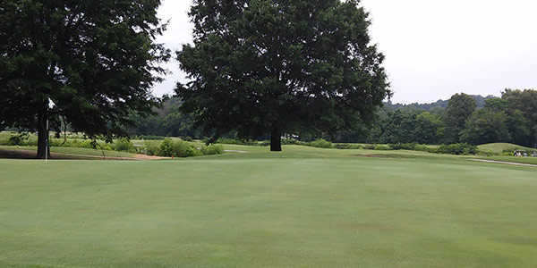 Course Image
