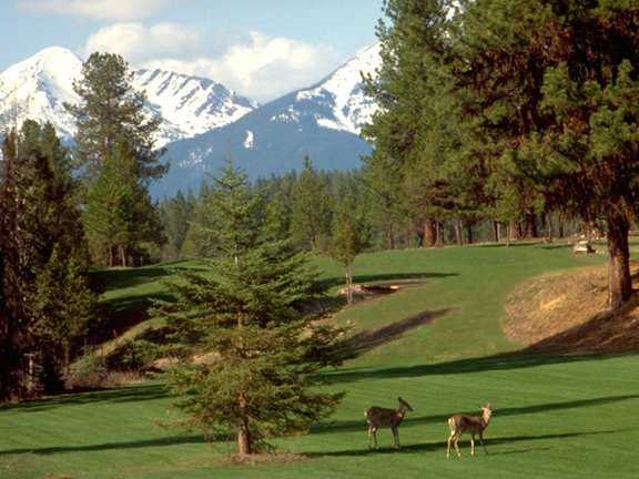 A view of a fairway at Double Arrow Golf Resort