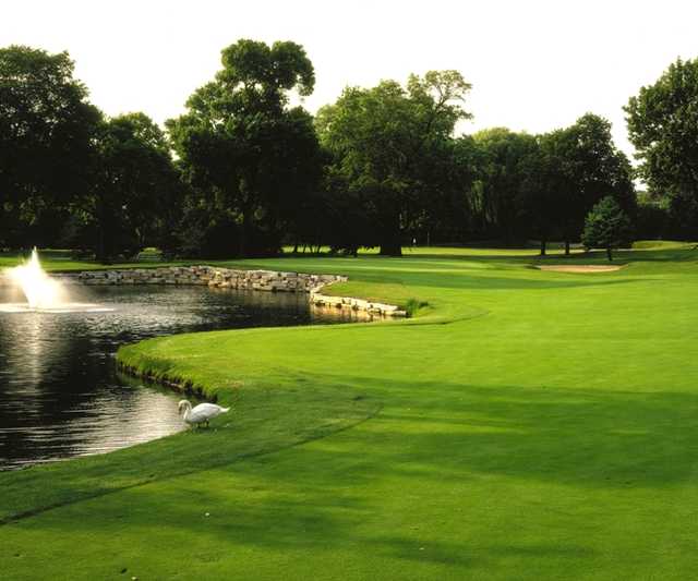 Course Image