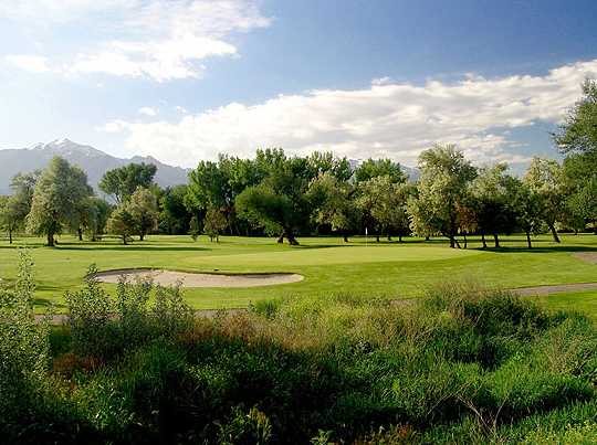 A view of the 5th green from Executive at Mick Riley Golf Course