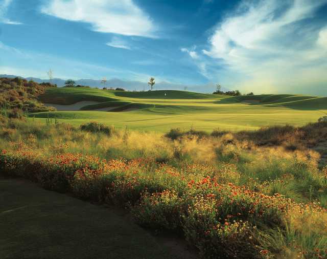 Whirlwind Golf Club- Devil's Claw