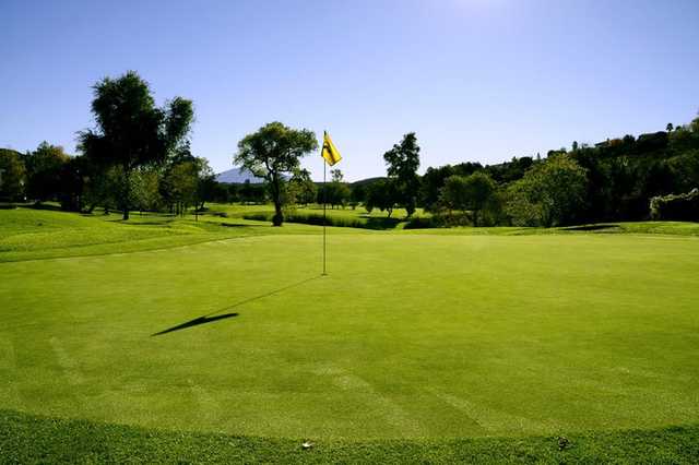 Course Image