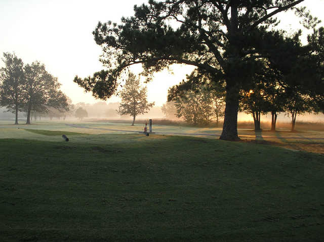 A view from Cottonwood Golf Club