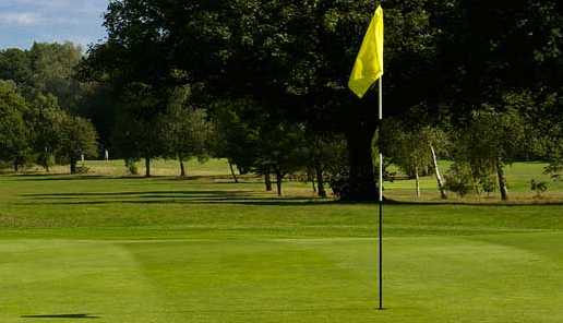 A view of a hole at Redhill & Reigate Golf Club