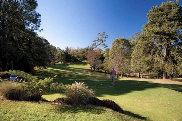 View from Tamborine Mountain