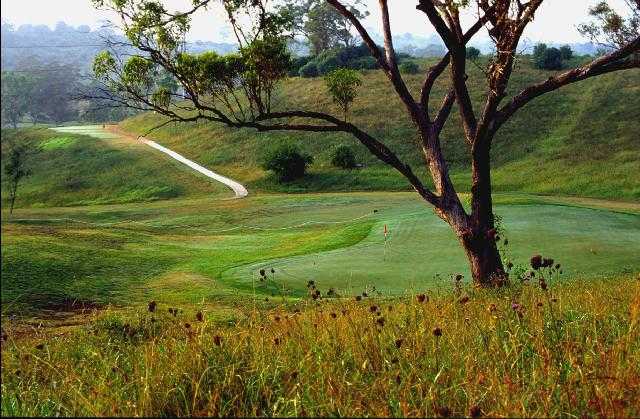 A view of the 17th green at Macarthur Grange Country Club