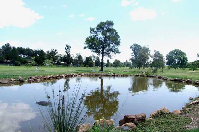 View from Gatton Jubilee Golf Club