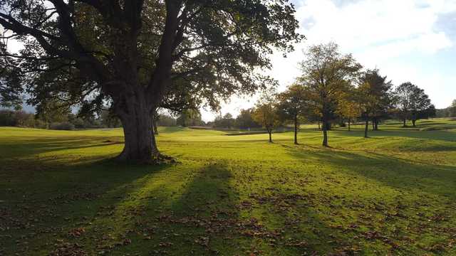 A view of a green at Haddington Golf Club.