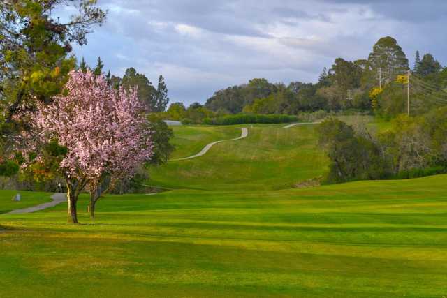Tayman Park Golf Course