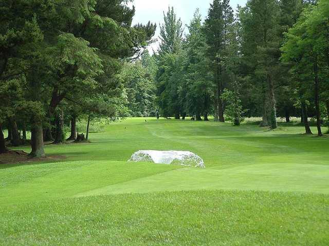 A view of a fairway at Charleville Golf Club.